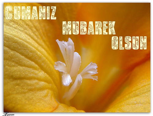 hayirli_cumalar_resimli (12)-286.jpg